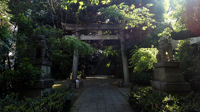 赤坂氷川神社の西の鳥居