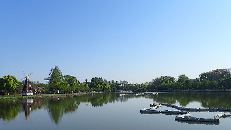 浮間公園池全景